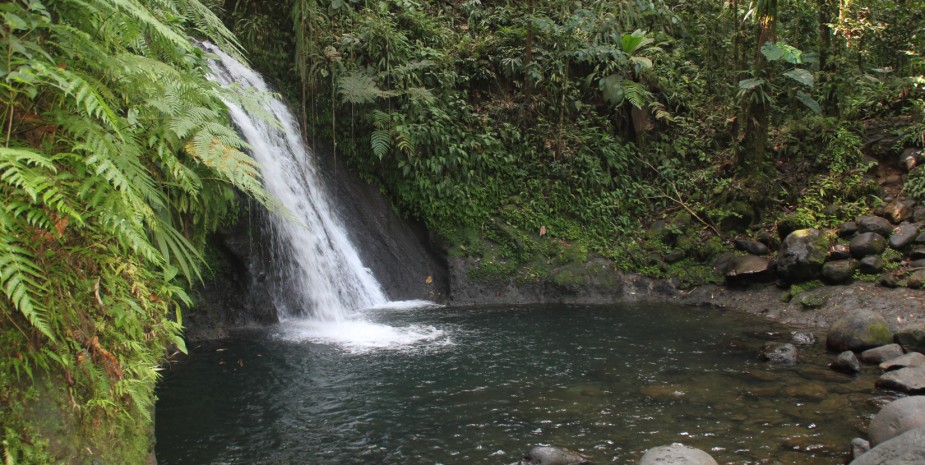 Cascade aux écrevisses